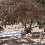 Blue Agave Agios Sostis (Tinos)