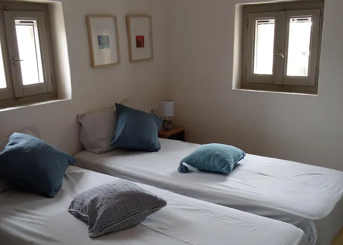 Blue Agave 艾西奥斯索蒂斯