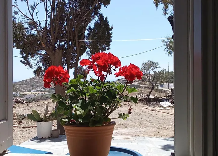 Blue Agave 度假居 艾西奥斯索蒂斯