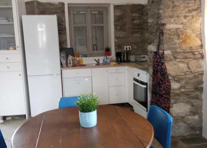 Blue Agave * 艾西奥斯索蒂斯