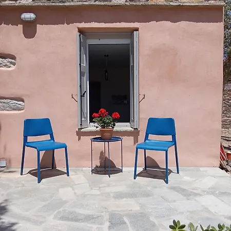 Blue Agave * Agios Sostis (Tinos)