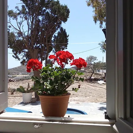 Blue Agave Semesterbostad Agios Sostis (Tinos)