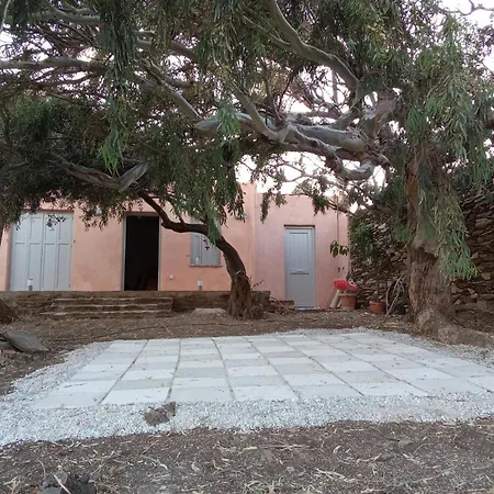 Blue Agave Dom wakacyjny