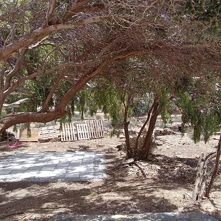 Blue Agave Agios Sostis (Tinos)