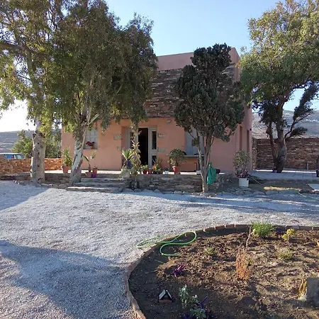 Blue Agave Agios Sostis (Tinos)