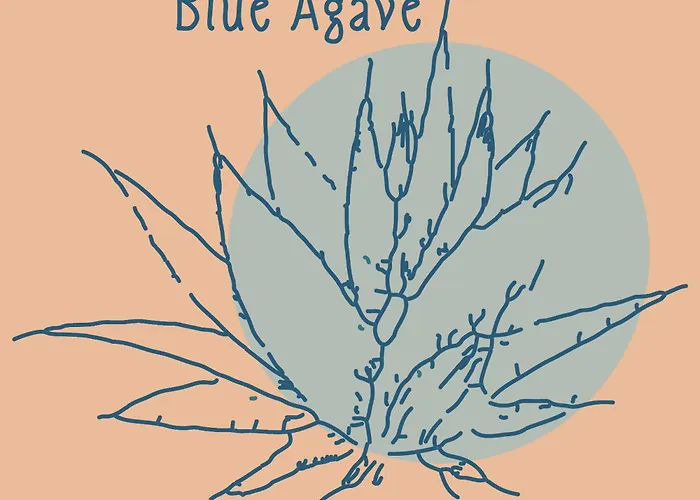 Blue Agave Сasa de vacaciones