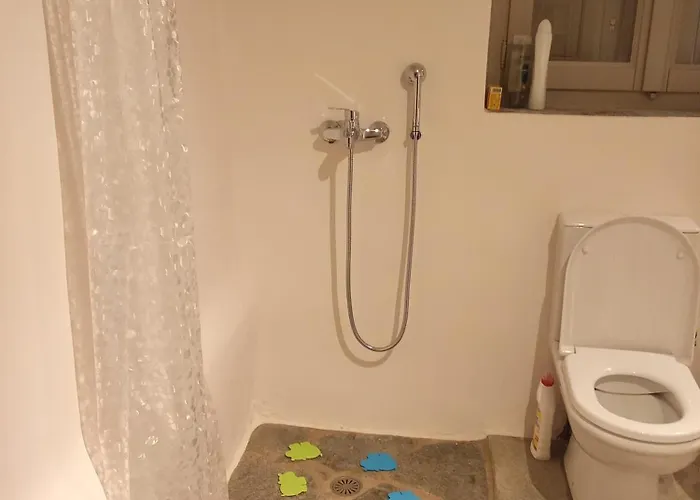 Blue Agave Agios Sostis (Tinos)